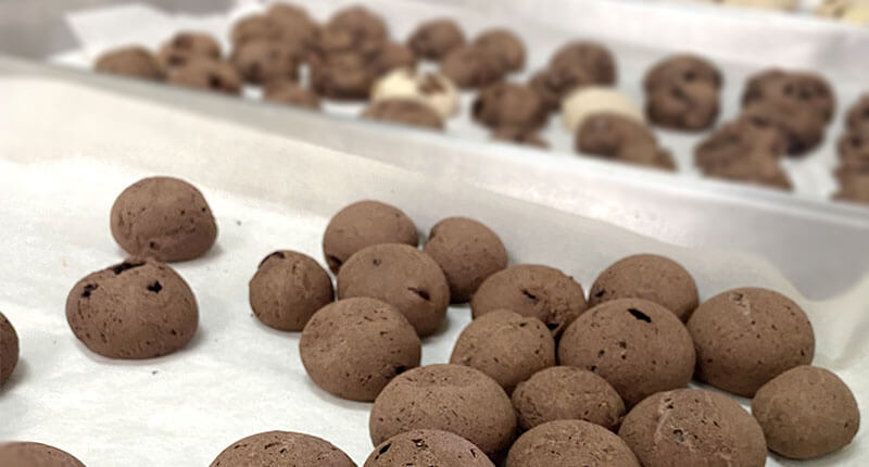 2024 暑期小尖兵_0006_IMG_1124